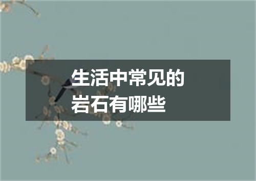 生活中常见的岩石有哪些