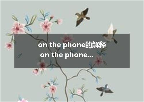 on the phone的解释 on the phone的解释是什么