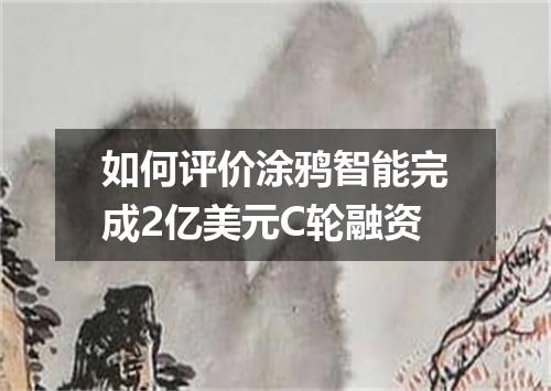 如何评价涂鸦智能完成2亿美元C轮融资