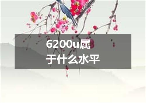6200u属于什么水平