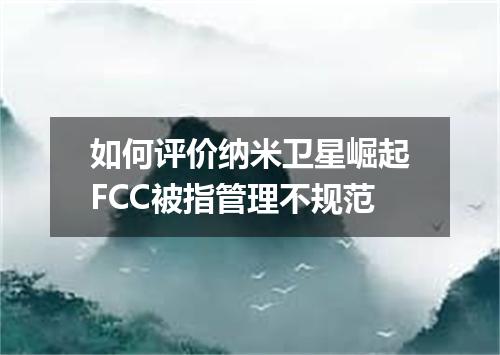 如何评价纳米卫星崛起FCC被指管理不规范