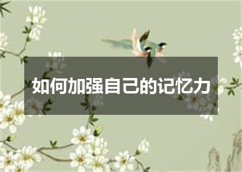 如何加强自己的记忆力