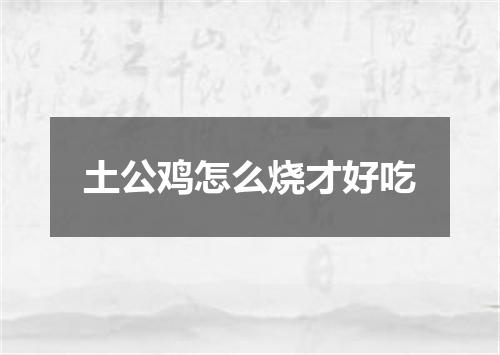 土公鸡怎么烧才好吃