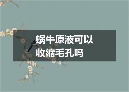 蜗牛原液可以收缩毛孔吗