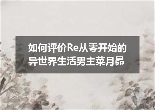 如何评价Re从零开始的异世界生活男主菜月昴