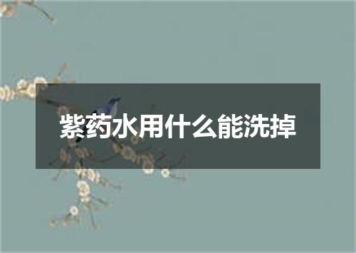 紫药水用什么能洗掉