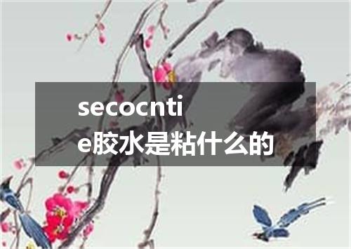 secocntie胶水是粘什么的