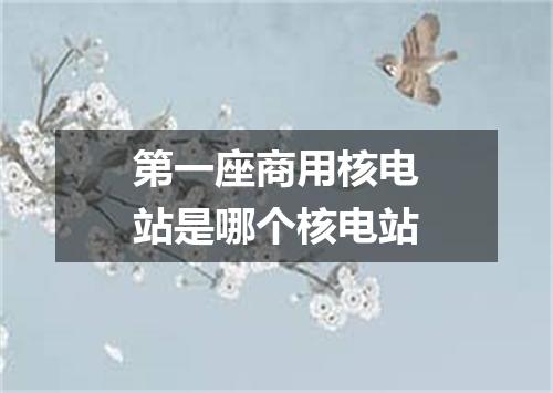 第一座商用核电站是哪个核电站