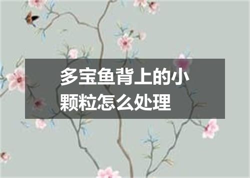 多宝鱼背上的小颗粒怎么处理