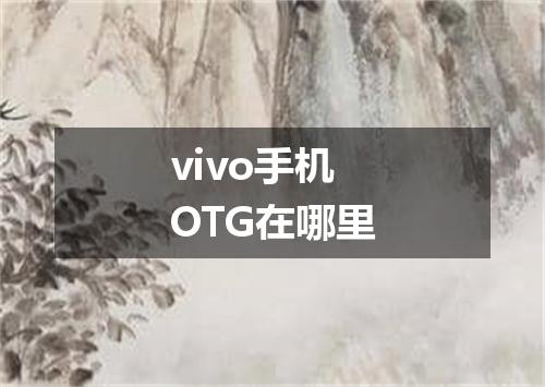 vivo手机OTG在哪里