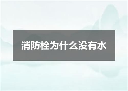 消防栓为什么没有水