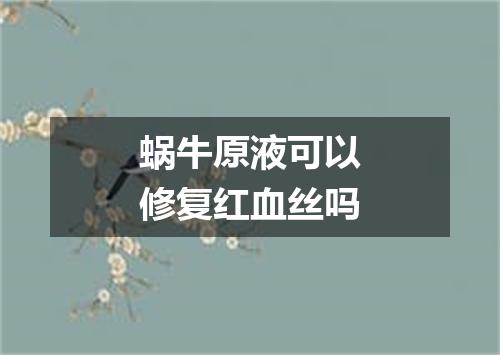 蜗牛原液可以修复红血丝吗