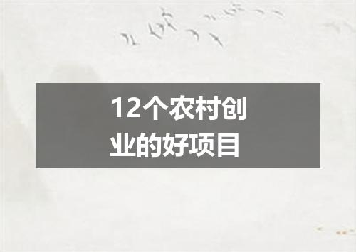 12个农村创业的好项目