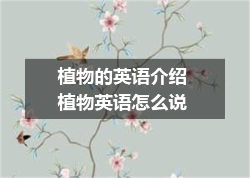 植物的英语介绍 植物英语怎么说