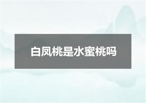 白凤桃是水蜜桃吗