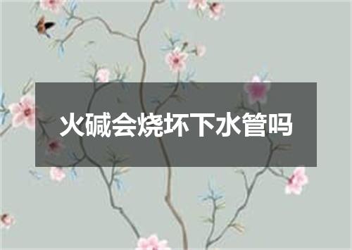 火碱会烧坏下水管吗