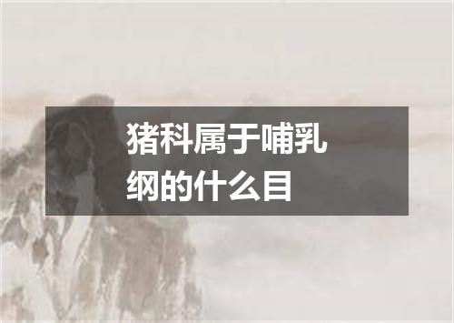 猪科属于哺乳纲的什么目