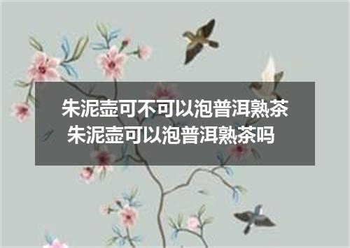 朱泥壶可不可以泡普洱熟茶 朱泥壶可以泡普洱熟茶吗
