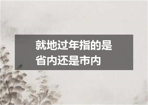 就地过年指的是省内还是市内