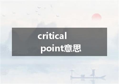critical point意思