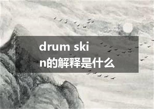 drum skin的解释是什么