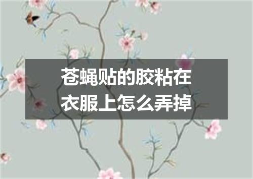 苍蝇贴的胶粘在衣服上怎么弄掉