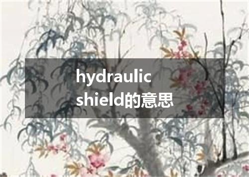 hydraulic shield的意思