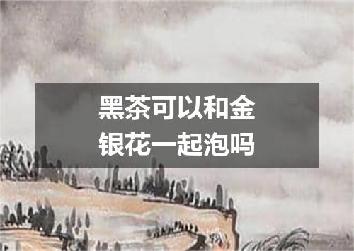 黑茶可以和金银花一起泡吗