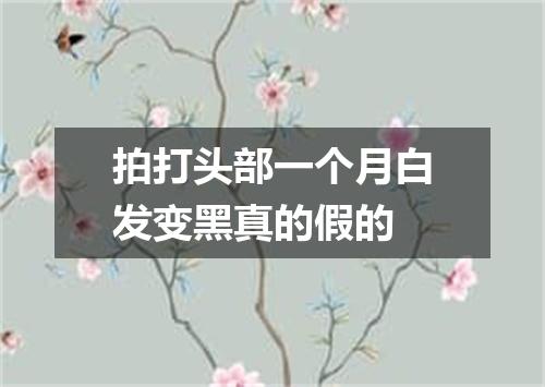 拍打头部一个月白发变黑真的假的