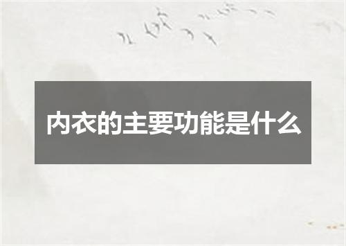 内衣的主要功能是什么