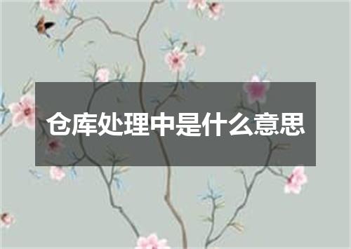 仓库处理中是什么意思