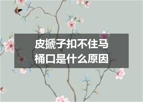 皮搋子扣不住马桶口是什么原因