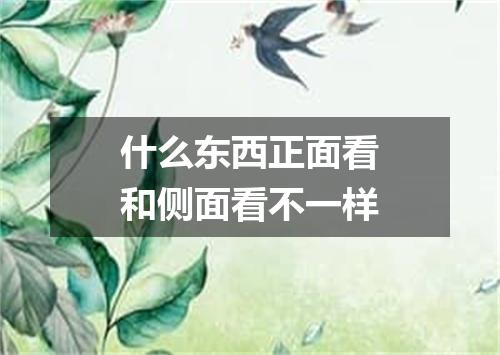 什么东西正面看和侧面看不一样