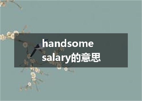handsome salary的意思