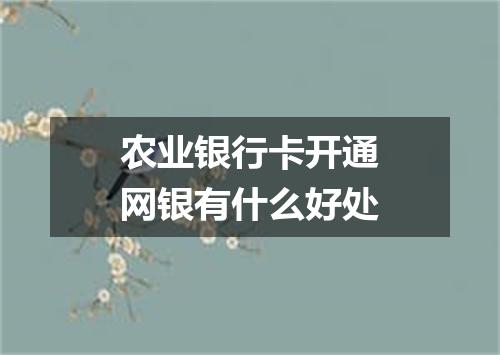 农业银行卡开通网银有什么好处