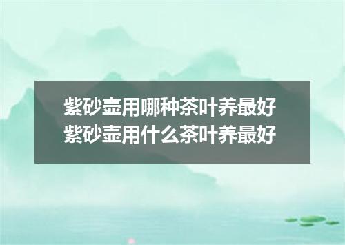 紫砂壶用哪种茶叶养最好 紫砂壶用什么茶叶养最好