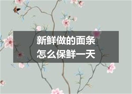 新鲜做的面条怎么保鲜一天