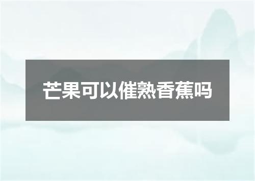 芒果可以催熟香蕉吗