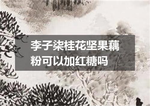 李子柒桂花坚果藕粉可以加红糖吗