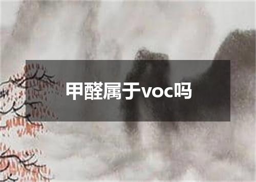 甲醛属于voc吗