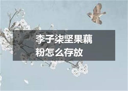 李子柒坚果藕粉怎么存放