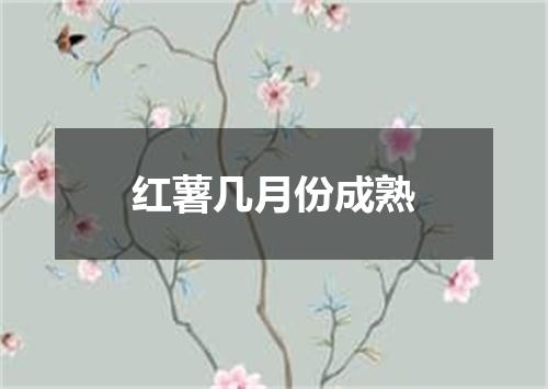 红薯几月份成熟