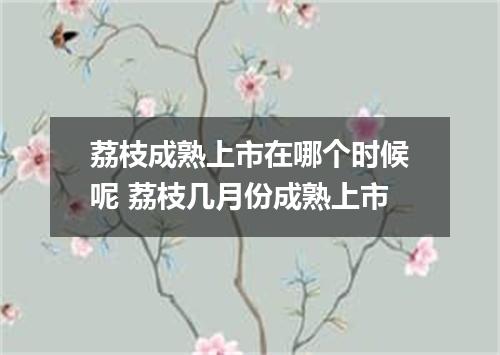 荔枝成熟上市在哪个时候呢 荔枝几月份成熟上市