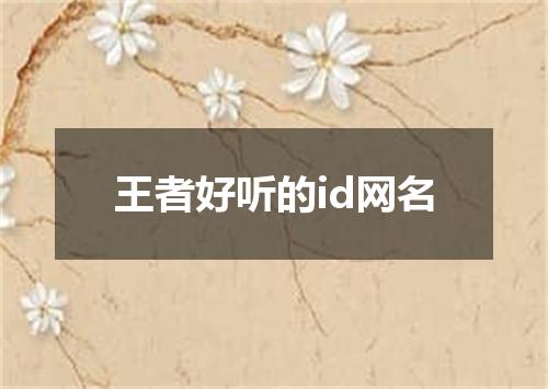 王者好听的id网名