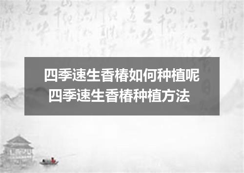 四季速生香椿如何种植呢 四季速生香椿种植方法