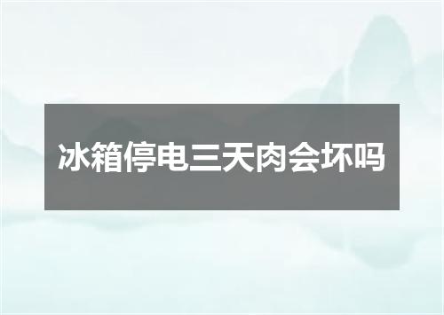冰箱停电三天肉会坏吗