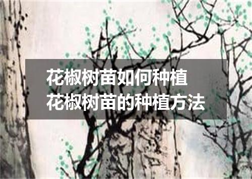 花椒树苗如何种植 花椒树苗的种植方法