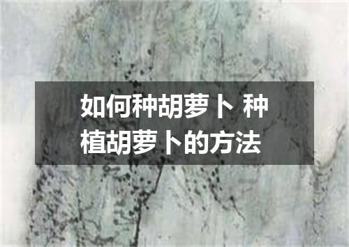 如何种胡萝卜 种植胡萝卜的方法