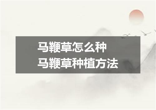 马鞭草怎么种 马鞭草种植方法