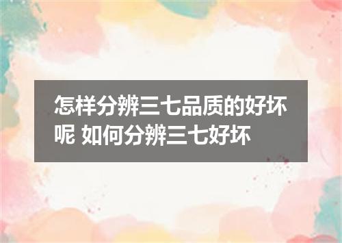 怎样分辨三七品质的好坏呢 如何分辨三七好坏